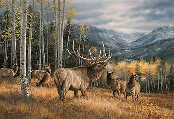 Small Framed Meadow Music - Elk Canvas (17"x 22")