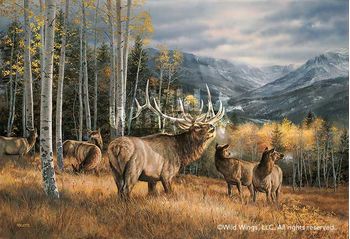 Meadow Music Elk Wrapped Canvas by Rosemary Millette