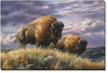 Nomads of the Plains - Bison Wrapped Canvas Art