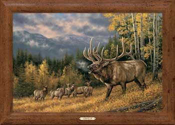 Autumn Song - Elk  Framed Canvas Art Print