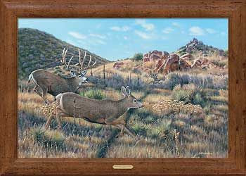 In Pursuit - Mule Deer Framed Canvas Art Print