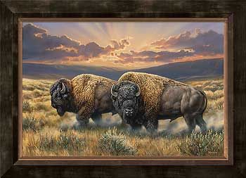Urban Framed Gallery Canvas Dusty Plains - Bison