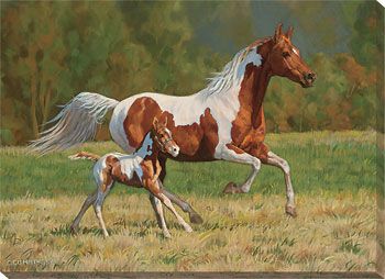 Summer Breeze - Horses Wrapped Canvas Art Print
