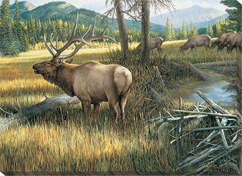 The Guardian - Elk Wrapped Canvas Art