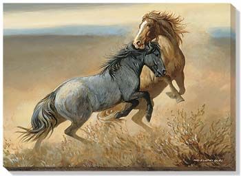 Challenged - Fighting Stallions Wrapped Canvas Art Print