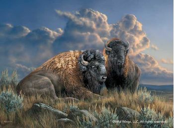 Small Framed Studio Canvas Distant Thunder - Bison