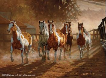 Coming Home - Horses Oval Canvas; Cummings