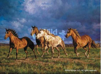 Racing the Sun-Horses Canvas by Chris Cummings