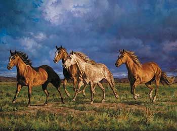 Racing the Sun-Horses Canvas by Chris Cummings