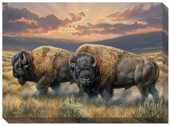 13"x 18" Wrapped Canvas Dusty Plains - Bison