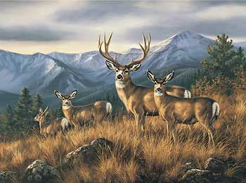 20"x 30" Wrapped Canvas Crossing the Ridge - Mule Deer