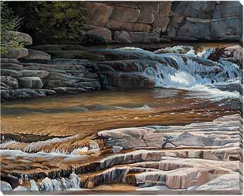 Golden Waters - Waterfall Wrapped Canvas Art Print