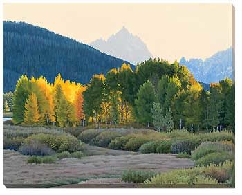 Teton Autumn Wrapped Canvas Print