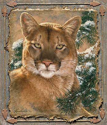 Caught by the Light - Cougar Wrapped Canvas Art