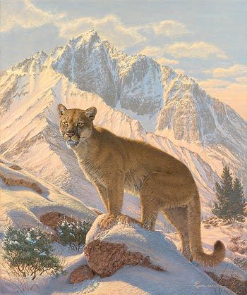 Limited Edition Canvas Spirit of the West - Cougar