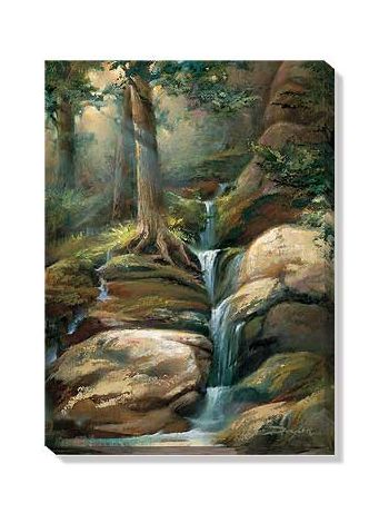 The Dells - Waterfall  Wrapped Canvas Art