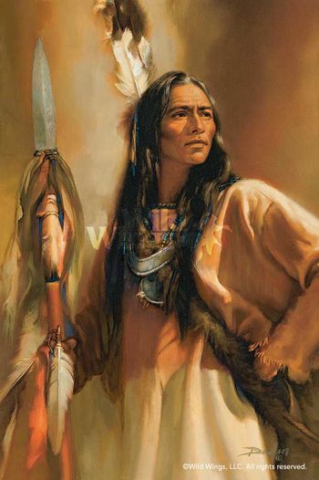 Redhawk - Native American Print