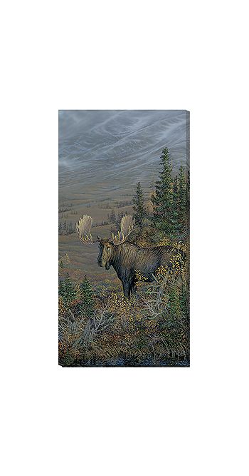 Big Country - Moose Wrapped Canvas Art