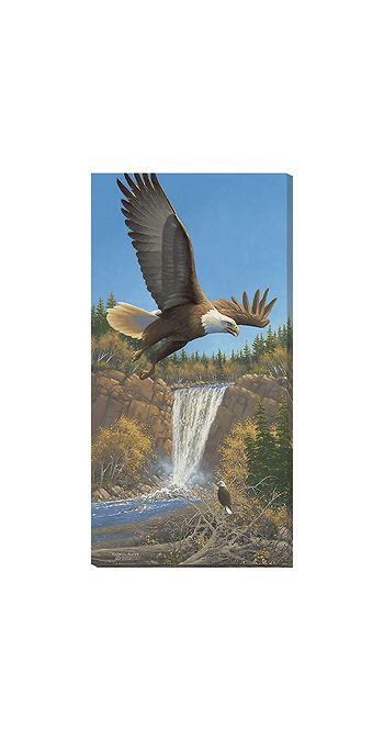 Eagles and Waterfall Wrapped Canvas Art