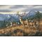 Small Framed Canvas Print Crossing the Ridge - Mule Deer