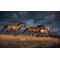 Thunder Ridge - Horses
Canvas Art Prints