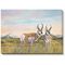 Brothers - Pronghorns  Wrapped Canvas Art