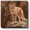 Red Rock Canyon - Coyote Wrapped Canvas Art