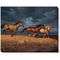Thunder Ridge - Horses Wrapped Canvas by Chris Cummings